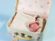 Maileg Baby Geschenk Set Rosa Bambi Rassel und Wolldecke im Koffer Öko-Tex Baumwolle