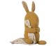 Maileg Kuschelfreunde Hase in Gelb mit Schnuffeltuch gepunktet Kuscheltier Nr.16-1972-00