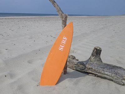 Schild Surfboard orange